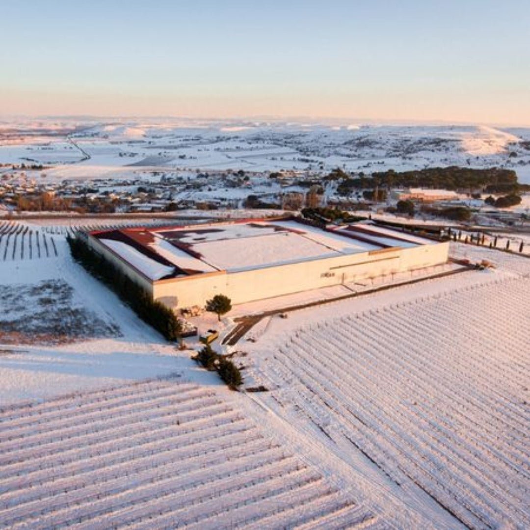 Rippa Dorii Ribera Del Duero Crianza - Latitude Wine & Liquor Merchant