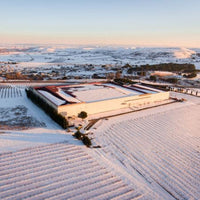 Rippa Dorii Ribera Del Duero Crianza - Latitude Wine & Liquor Merchant