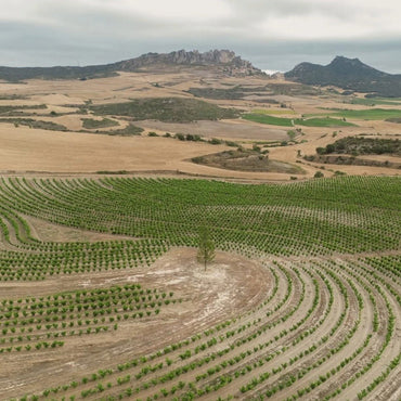 Roda Rioja Reserva - Latitude Wine & Liquor Merchant