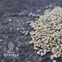 Royal Brackla 18yo - Latitude Wine & Liquor Merchant