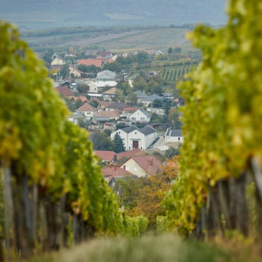 Royal Tokaji Blue Label 5 Puttonyos Aszu 500ml - Latitude Wine & Liquor Merchant