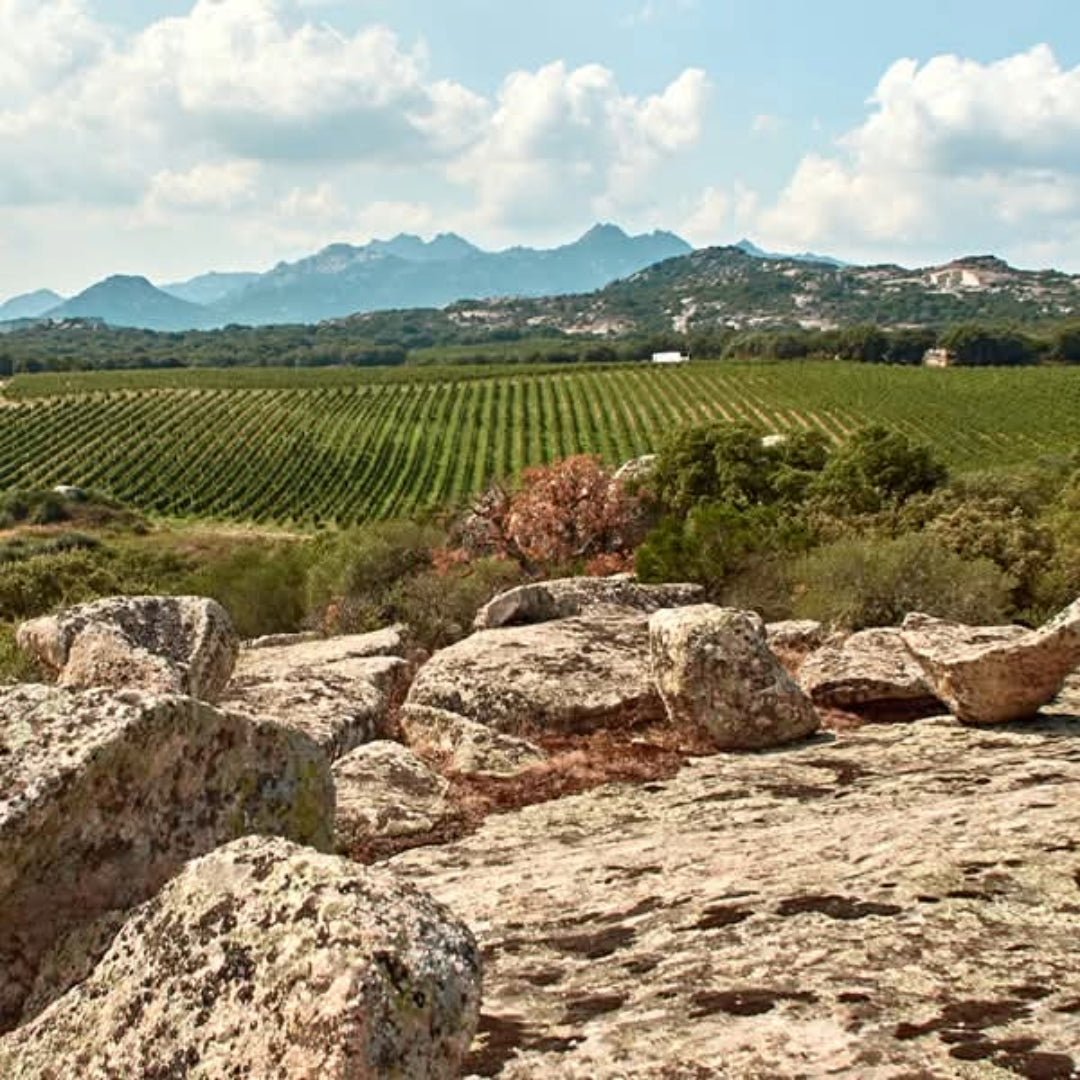 Sa Raja Cannonau Di Sardegna - Latitude Wine & Liquor Merchant