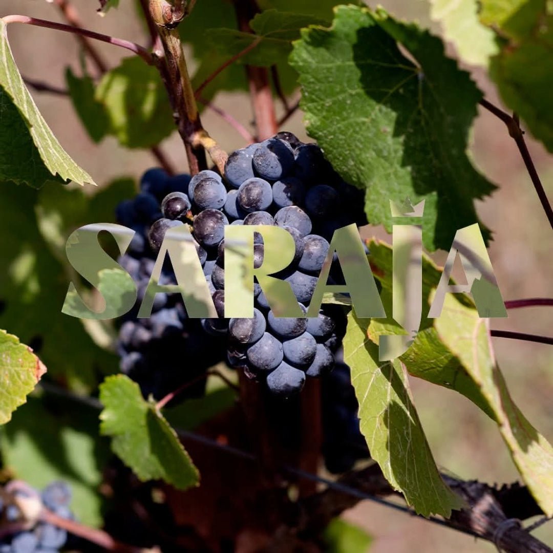 Sa Raja Cannonau Di Sardegna - Latitude Wine & Liquor Merchant