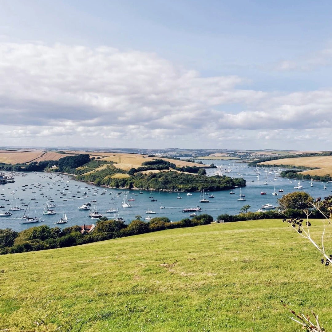 Salcombe Gin - Rose Sainte Marie - Latitude Wine & Liquor Merchant