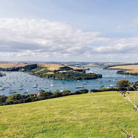 Salcombe Gin - Rose Sainte Marie - Latitude Wine & Liquor Merchant