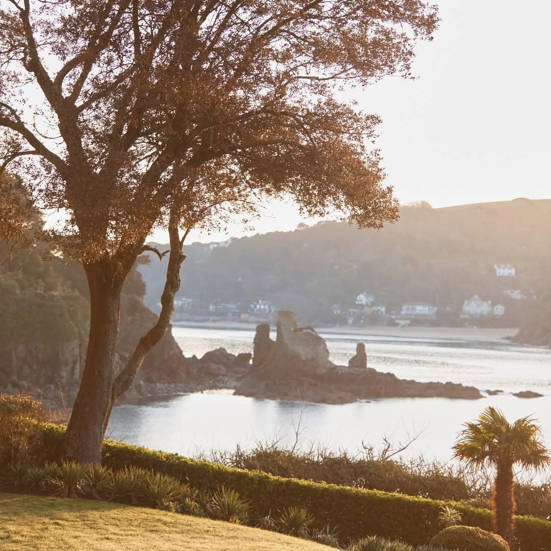 Salcombe Gin - Rose Sainte Marie - Latitude Wine & Liquor Merchant