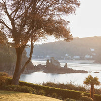 Salcombe Gin - Rose Sainte Marie - Latitude Wine & Liquor Merchant