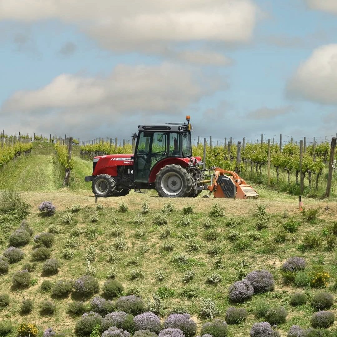 San Polo Rosso Di Montalcino - Latitude Wine & Liquor Merchant
