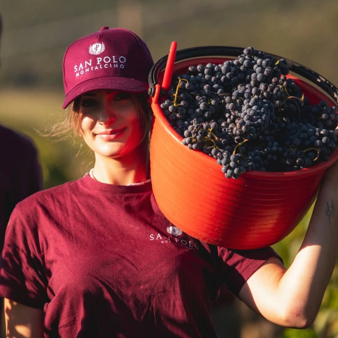 San Polo Rosso Di Montalcino - Latitude Wine & Liquor Merchant
