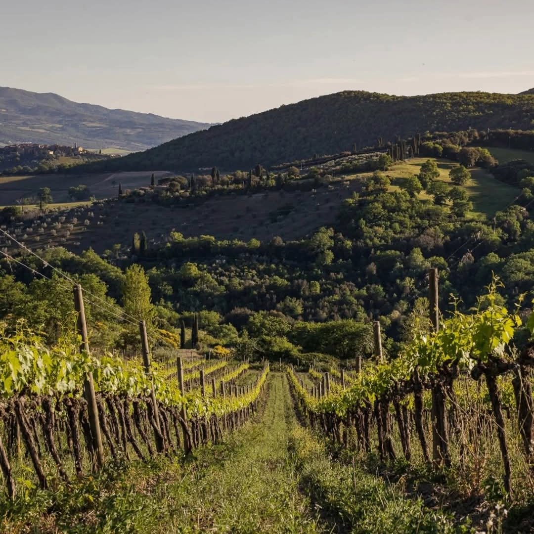 San Polo Rosso Di Montalcino - Latitude Wine & Liquor Merchant