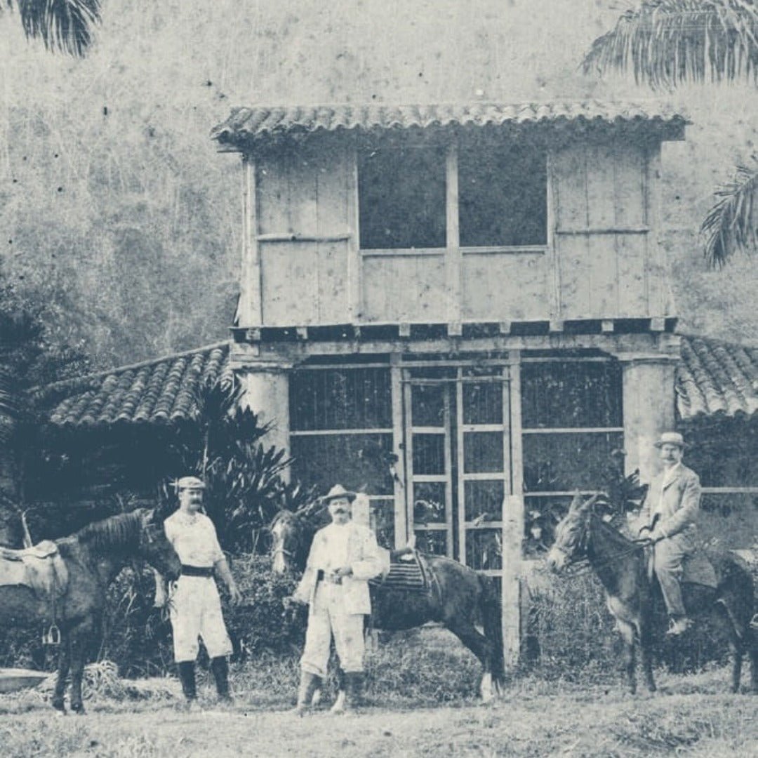 Santa Teresa 1796 - Latitude Wine & Liquor Merchant