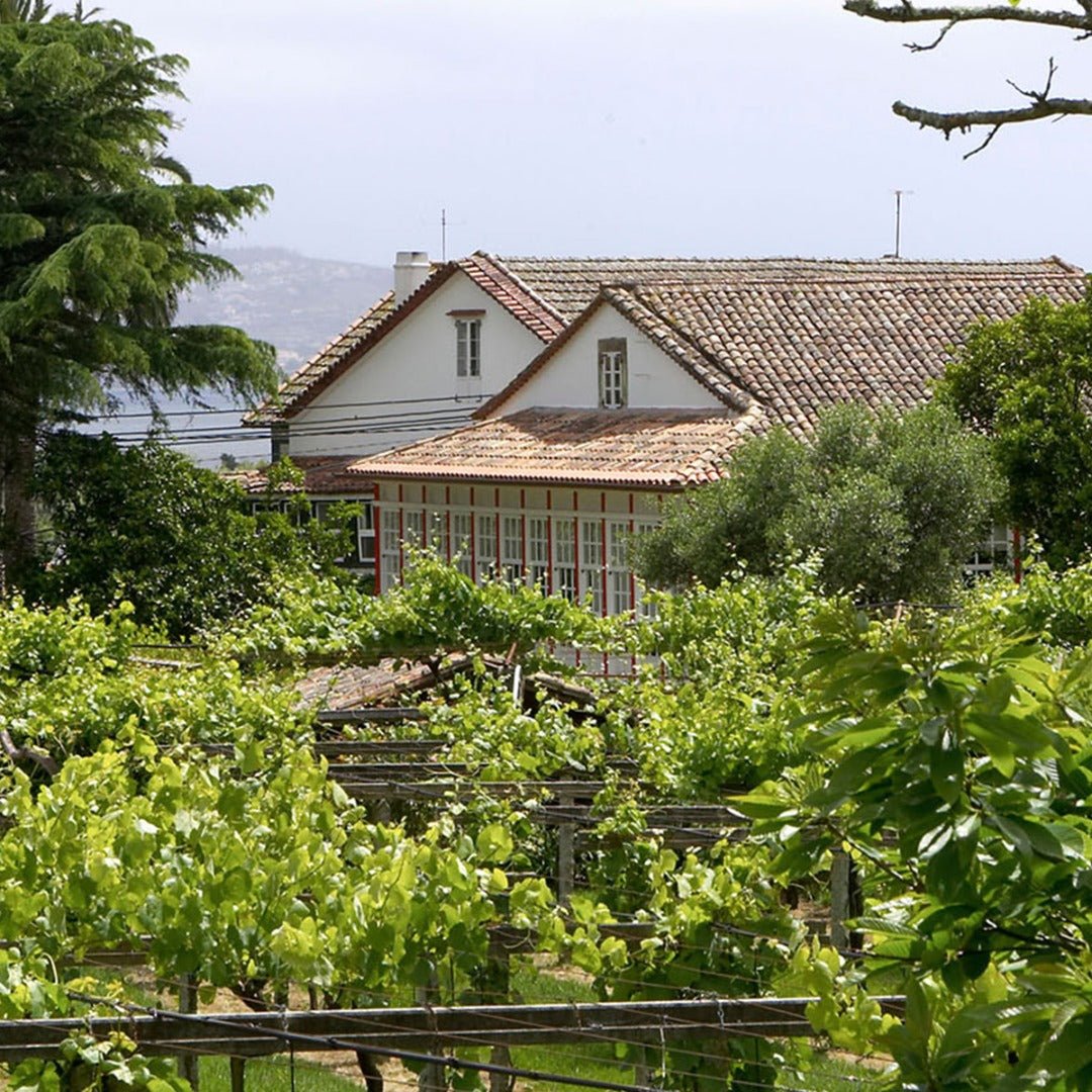 Santiago Ruiz "O Rosal" Rias Baixas Blanco - Latitude Wine & Liquor Merchant