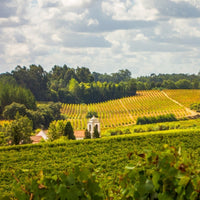 Sao Lourenco Bairrada Tinto - Latitude Wine & Liquor Merchant