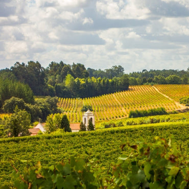 Sao Lourenco Bairrada Tinto - Latitude Wine & Liquor Merchant