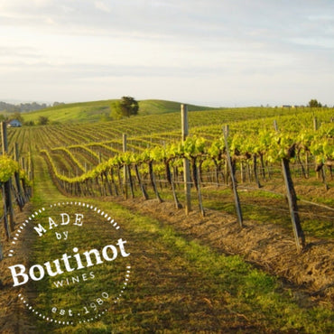 Shadow Point Pinot Noir - Latitude Wine & Liquor Merchant