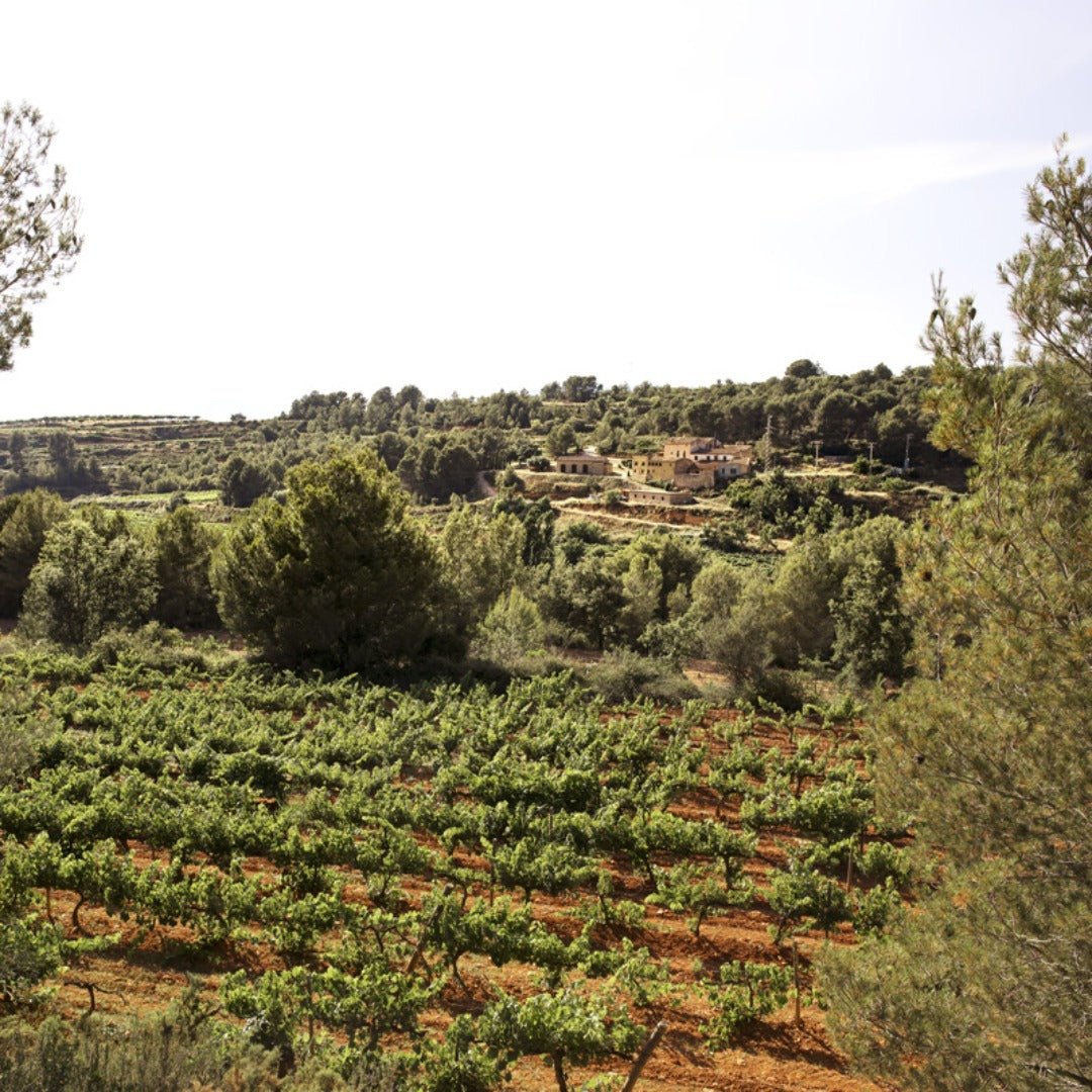 Siset Vermouth - Latitude Wine & Liquor Merchant