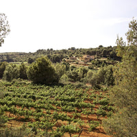 Siset Vermouth - Latitude Wine & Liquor Merchant