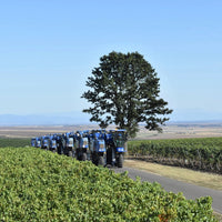 Solara Rose - Latitude Wine & Liquor Merchant