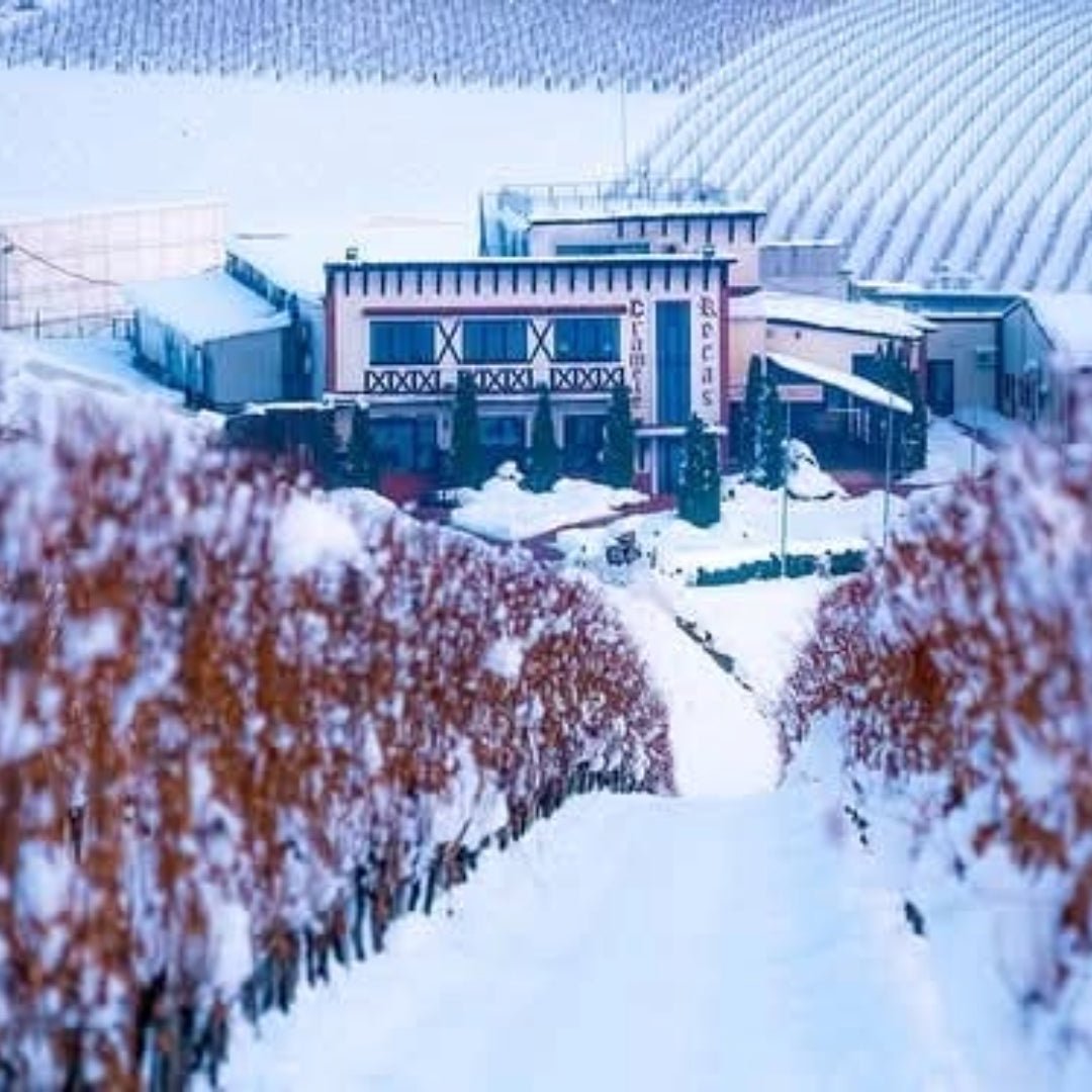 Solara Rose - Latitude Wine & Liquor Merchant