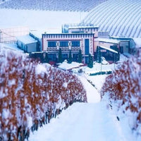 Solara Rose - Latitude Wine & Liquor Merchant