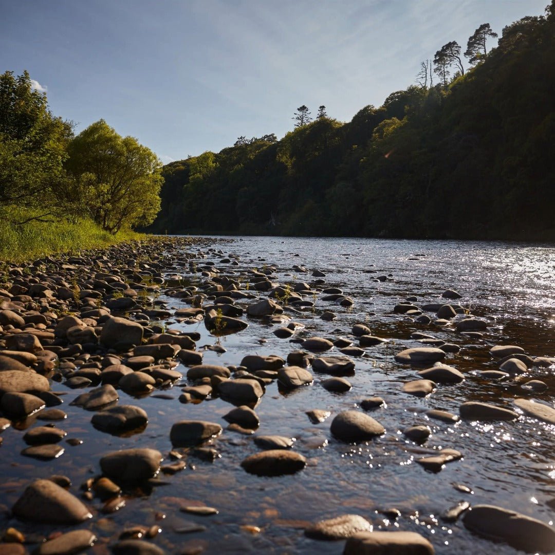 Speyburn 18yo - Latitude Wine & Liquor Merchant