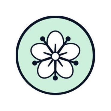 St Germain - Latitude Wine & Liquor Merchant