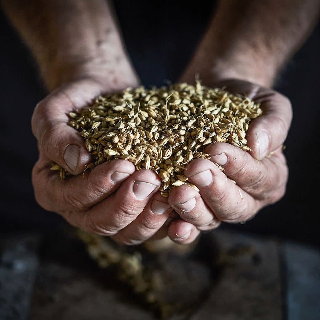 Stauning KAOS Danish Triple Malt Whisky - Latitude Wine & Liquor Merchant