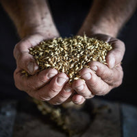 Stauning KAOS Danish Triple Malt Whisky - Latitude Wine & Liquor Merchant