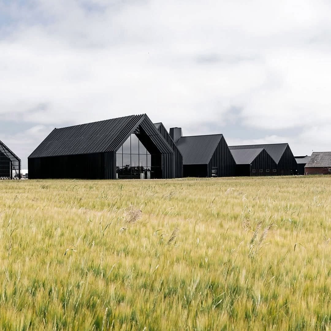 Stauning KAOS Danish Triple Malt Whisky - Latitude Wine & Liquor Merchant