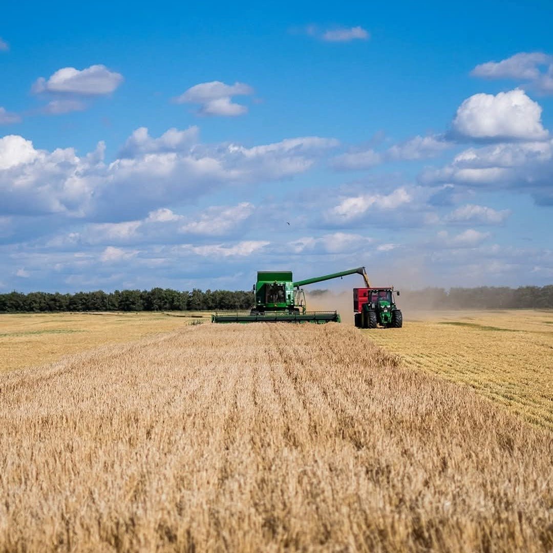 Stauning KAOS Danish Triple Malt Whisky - Latitude Wine & Liquor Merchant