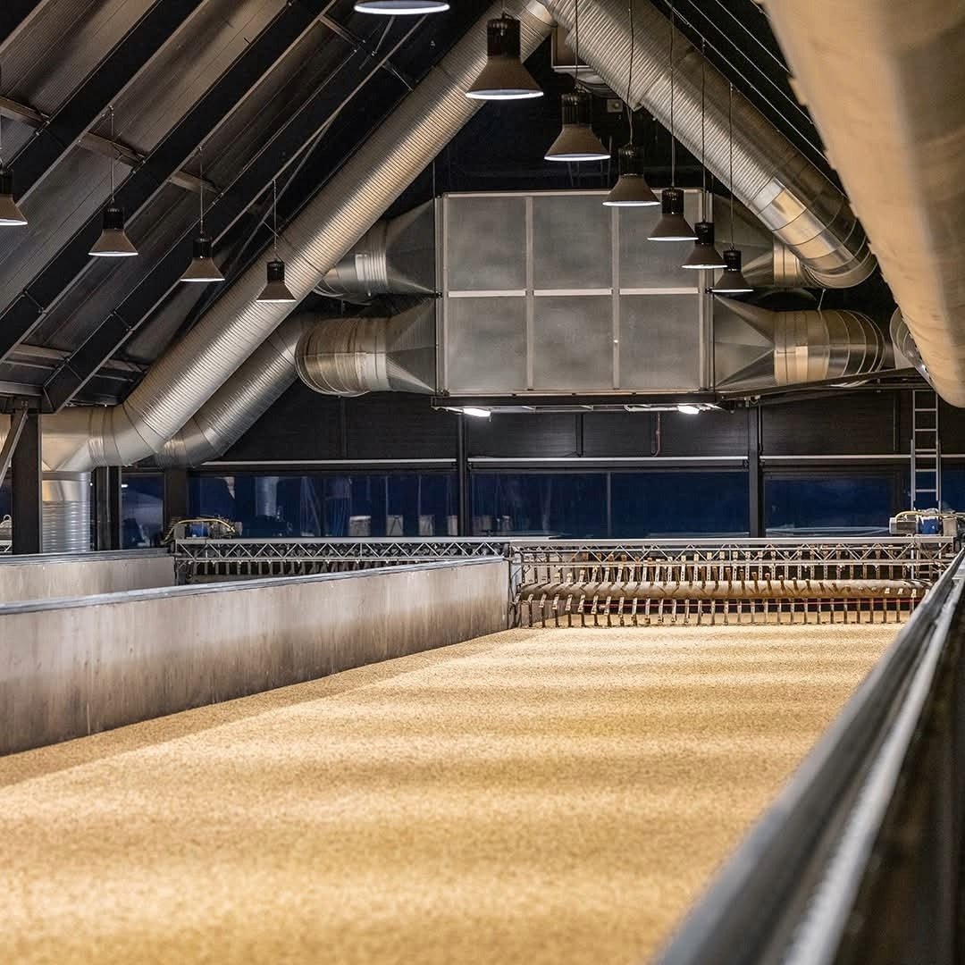 Stauning KAOS Danish Triple Malt Whisky - Latitude Wine & Liquor Merchant