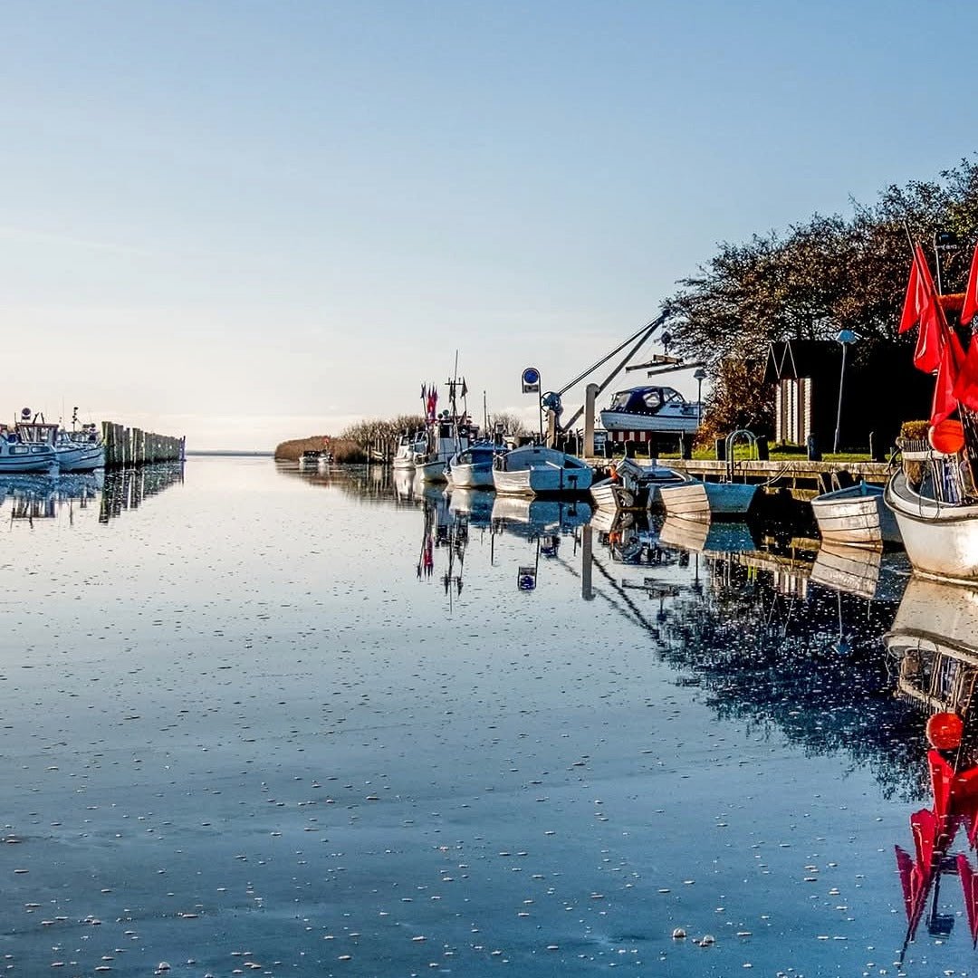 Stauning KAOS Danish Triple Malt Whisky - Latitude Wine & Liquor Merchant