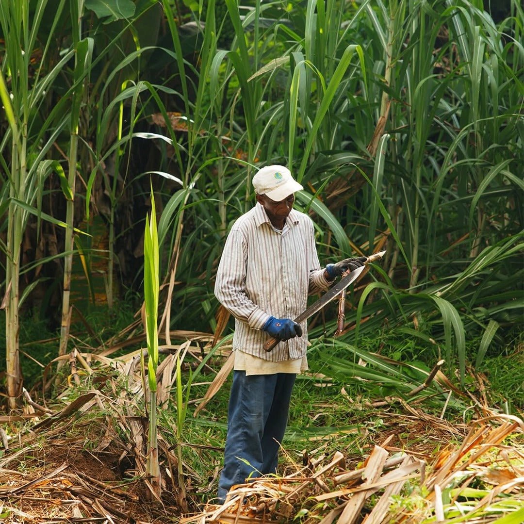 Takamaka Zepis Kreol - Latitude Wine & Liquor Merchant
