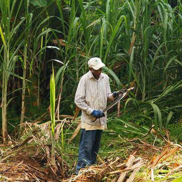 Takamaka Zepis Kreol - Latitude Wine & Liquor Merchant