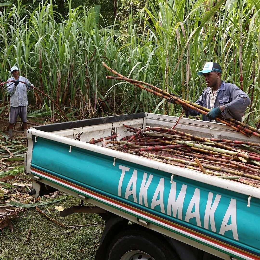 Takamaka Zepis Kreol - Latitude Wine & Liquor Merchant