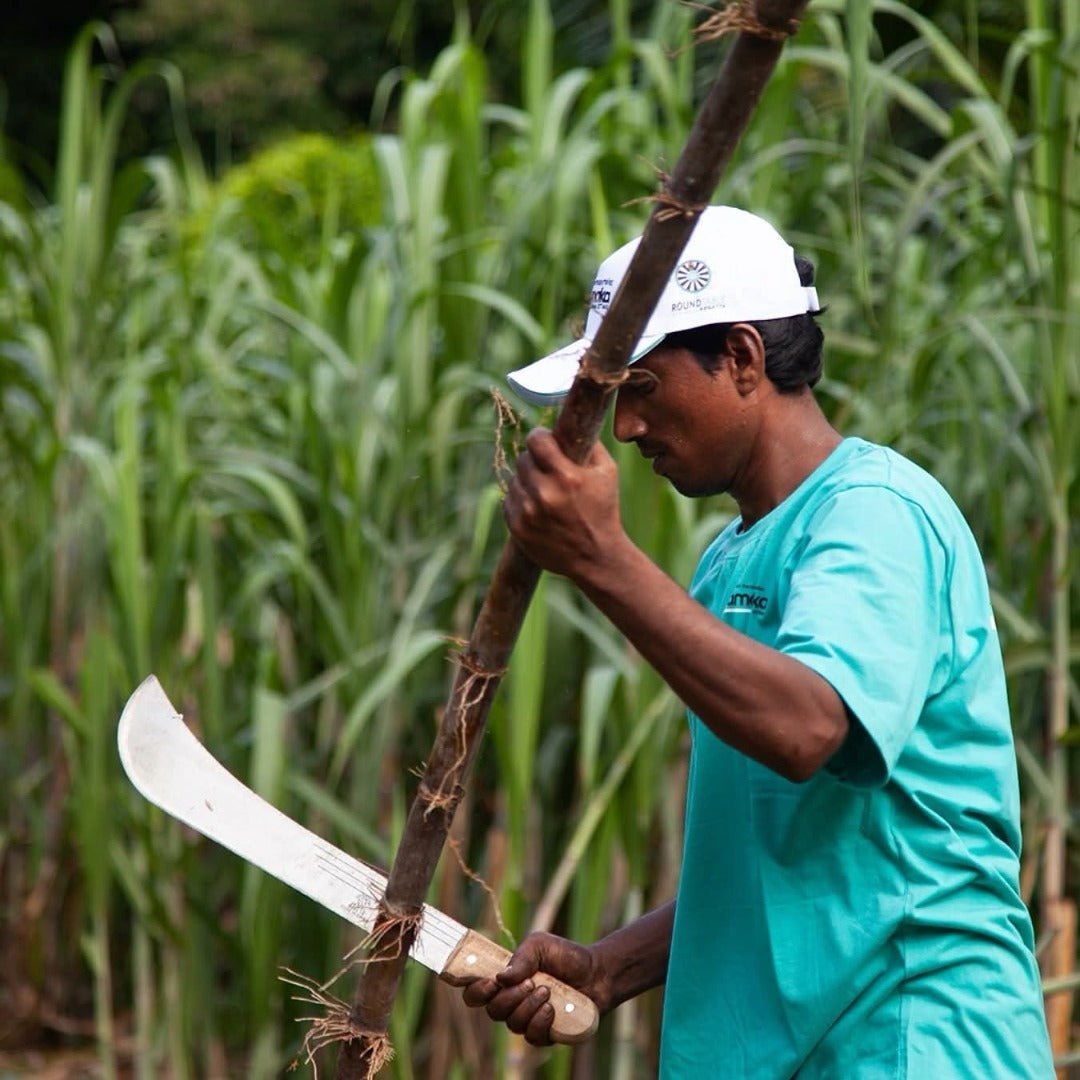 Takamaka Zepis Kreol - Latitude Wine & Liquor Merchant