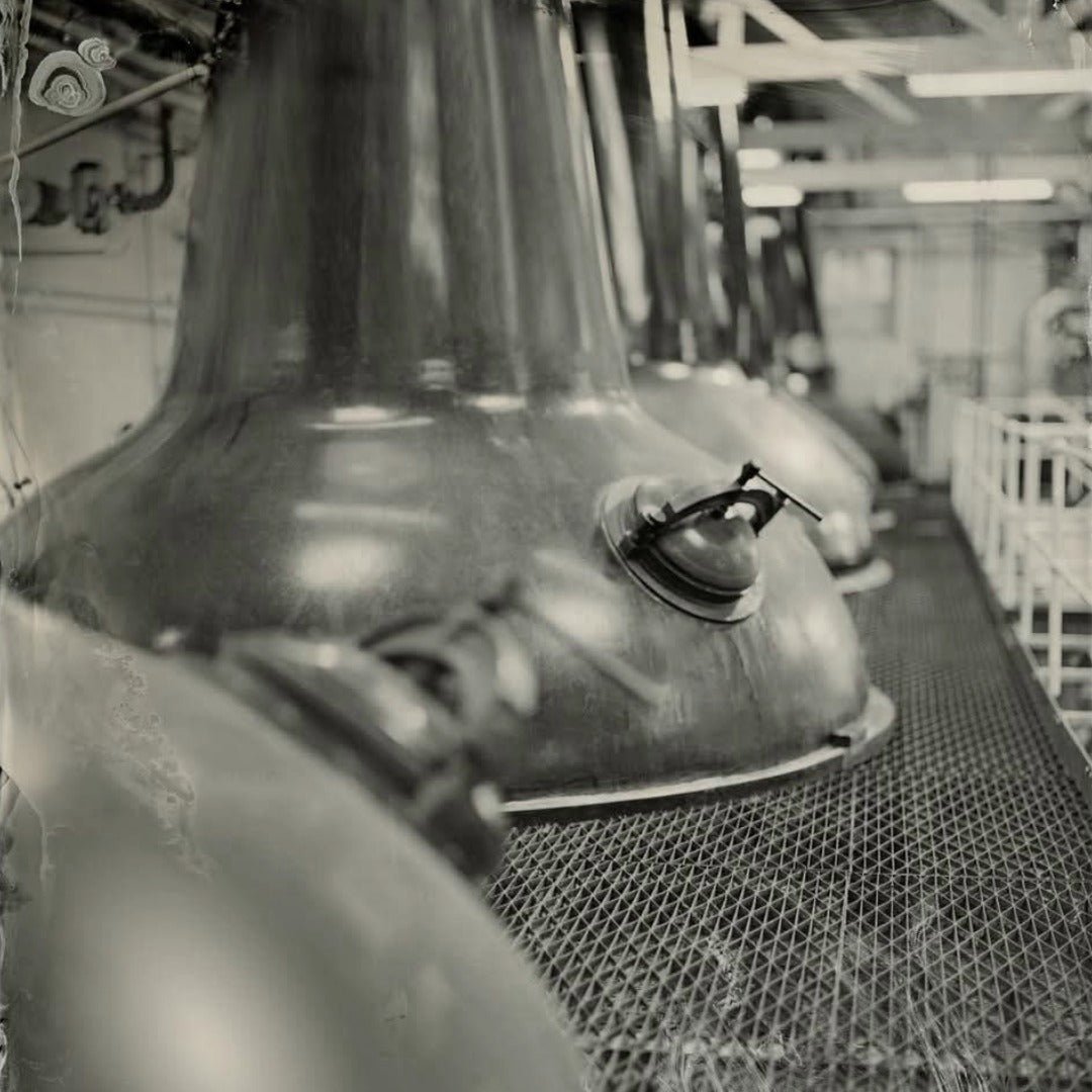 Tamdhu 15yo - Latitude Wine & Liquor Merchant