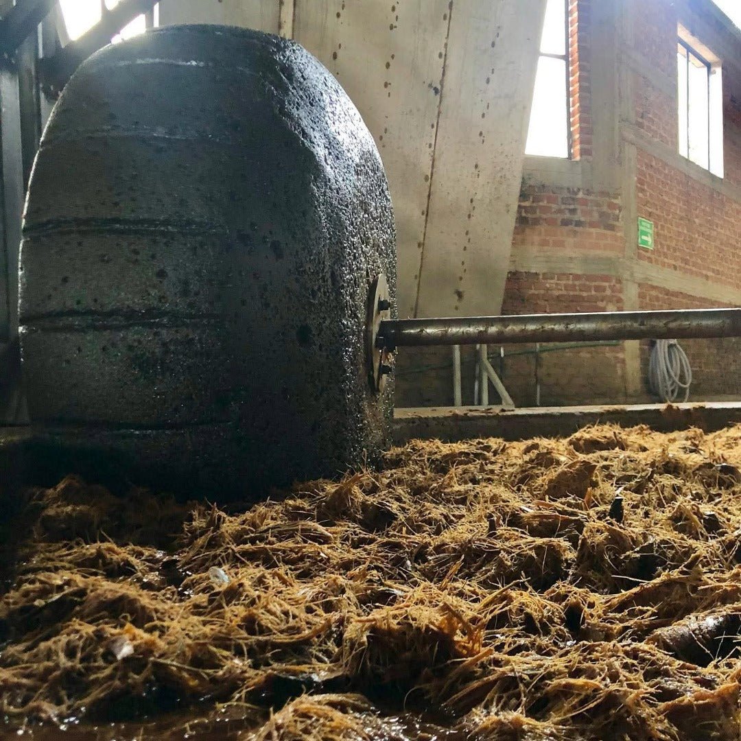 Tapatio Reposado 50cl - Latitude Wine & Liquor Merchant