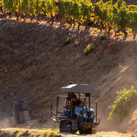Taylor's Vintage - Latitude Wine & Liquor Merchant