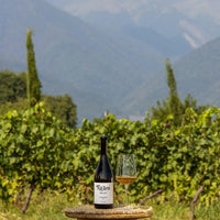 Teliani Valley Glekhuri Kiss Qvevri - Latitude Wine & Liquor Merchant