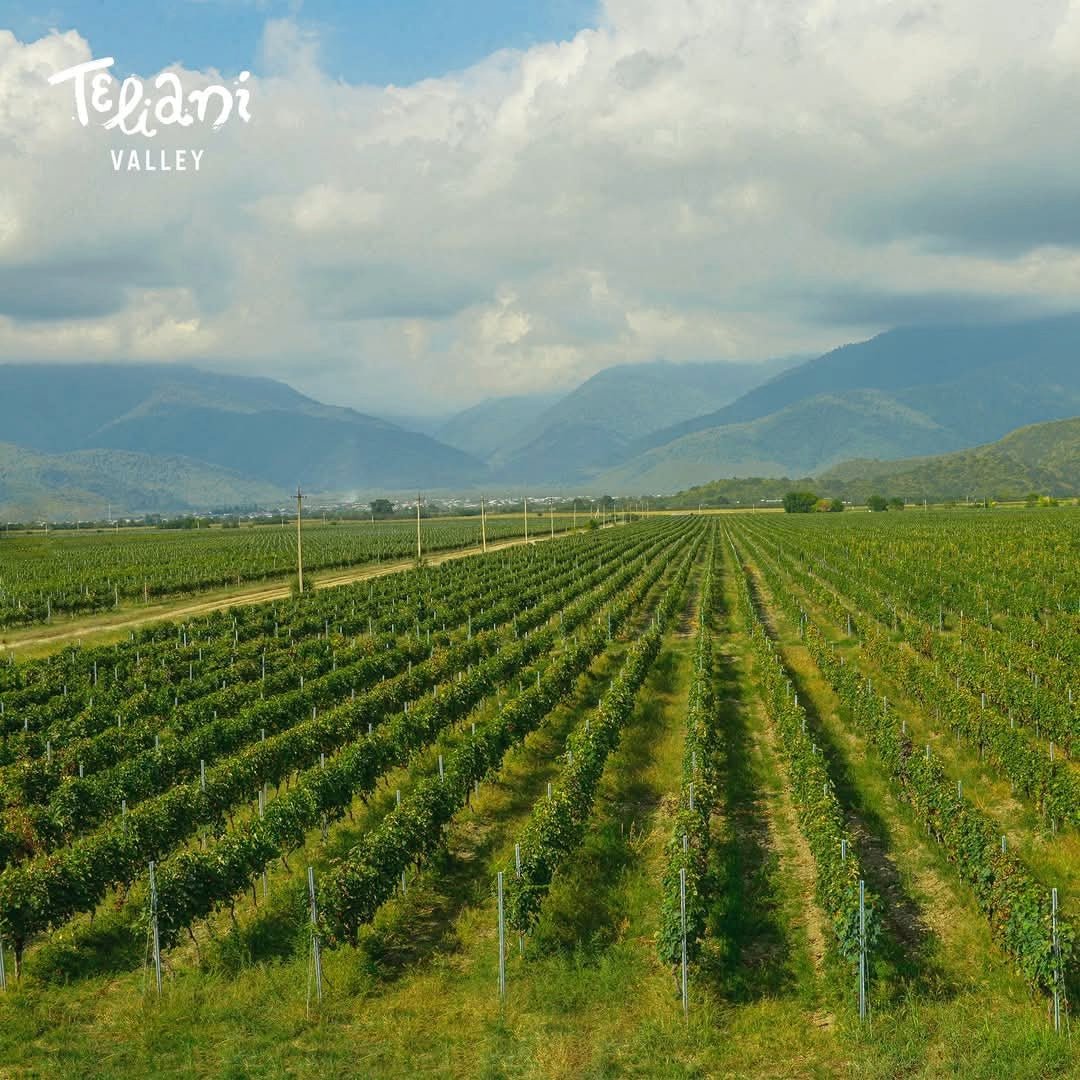 Teliani Valley Glekhuri Kiss Qvevri - Latitude Wine & Liquor Merchant