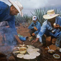 Terralta Reposado Tequila - Latitude Wine & Liquor Merchant