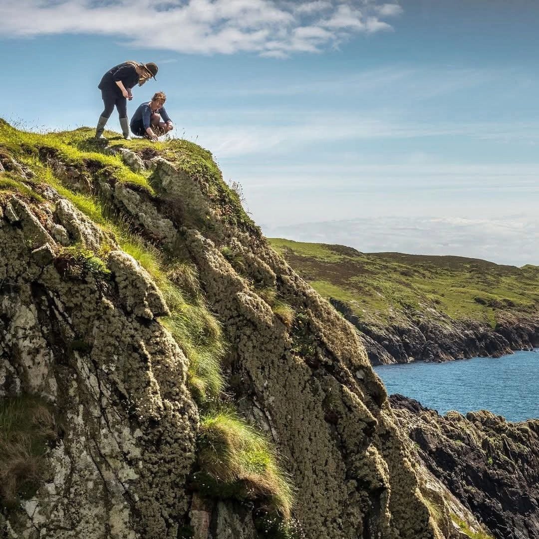 The Botanist Islay Gin - Latitude Wine & Liquor Merchant