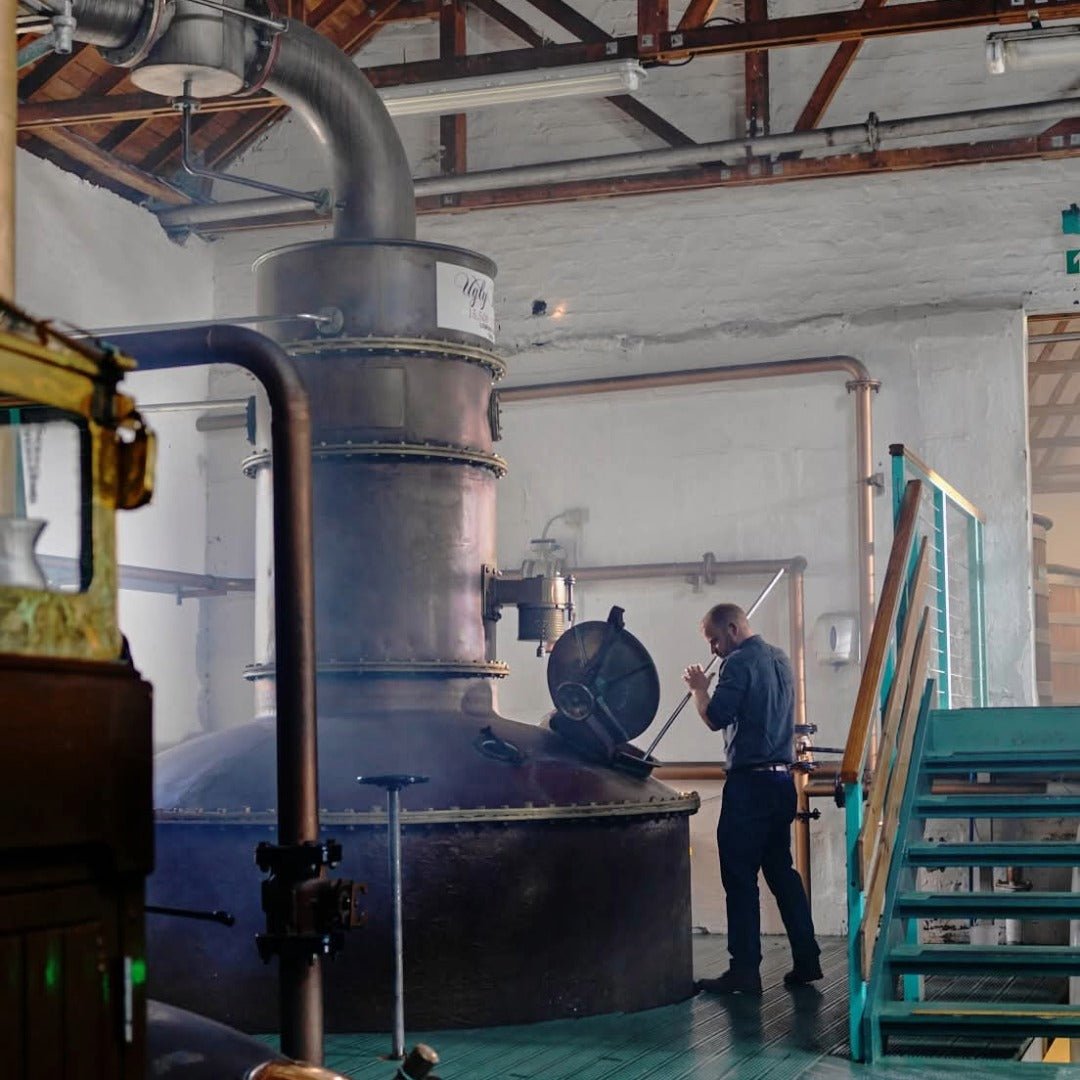 The Botanist Islay Gin - Latitude Wine & Liquor Merchant