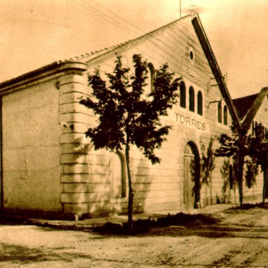 Torres 10 Gran Reserva Imperial Brandy - Latitude Wine & Liquor Merchant