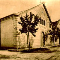 Torres 10 Gran Reserva Imperial Brandy - Latitude Wine & Liquor Merchant