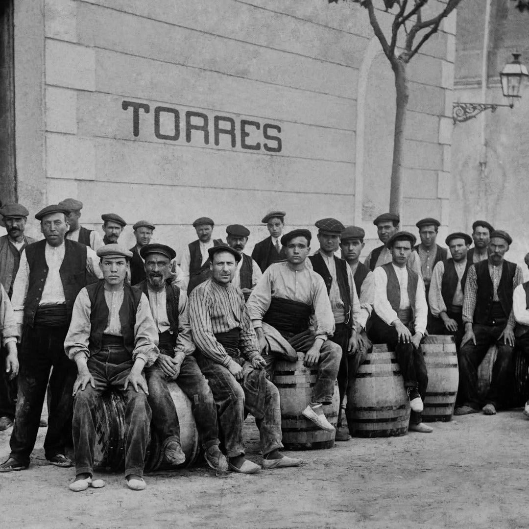 Torres 10 Gran Reserva Imperial Brandy - Latitude Wine & Liquor Merchant