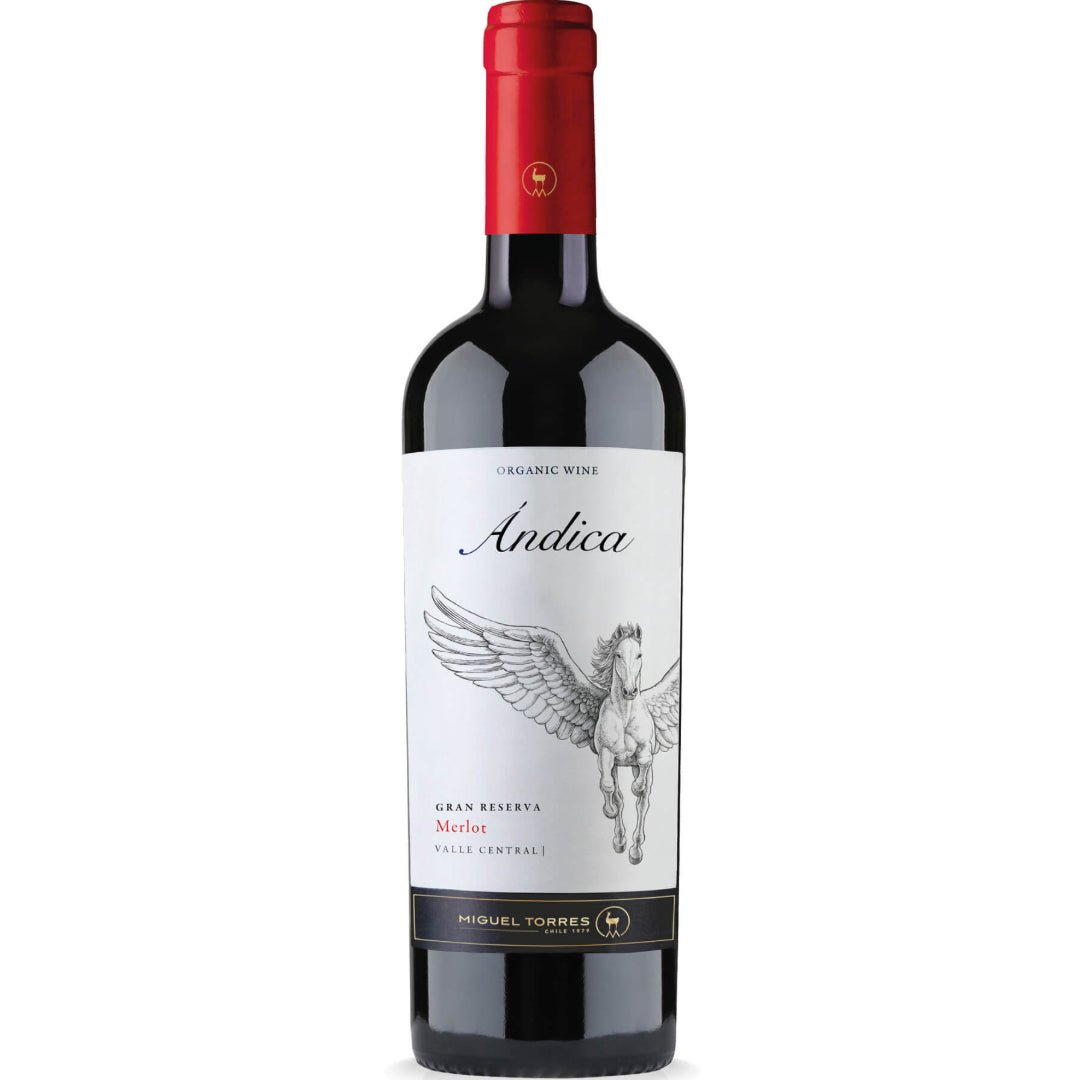 Torres Andica Gran Reserva Organic Merlot - Latitude Wine & Liquor Merchant