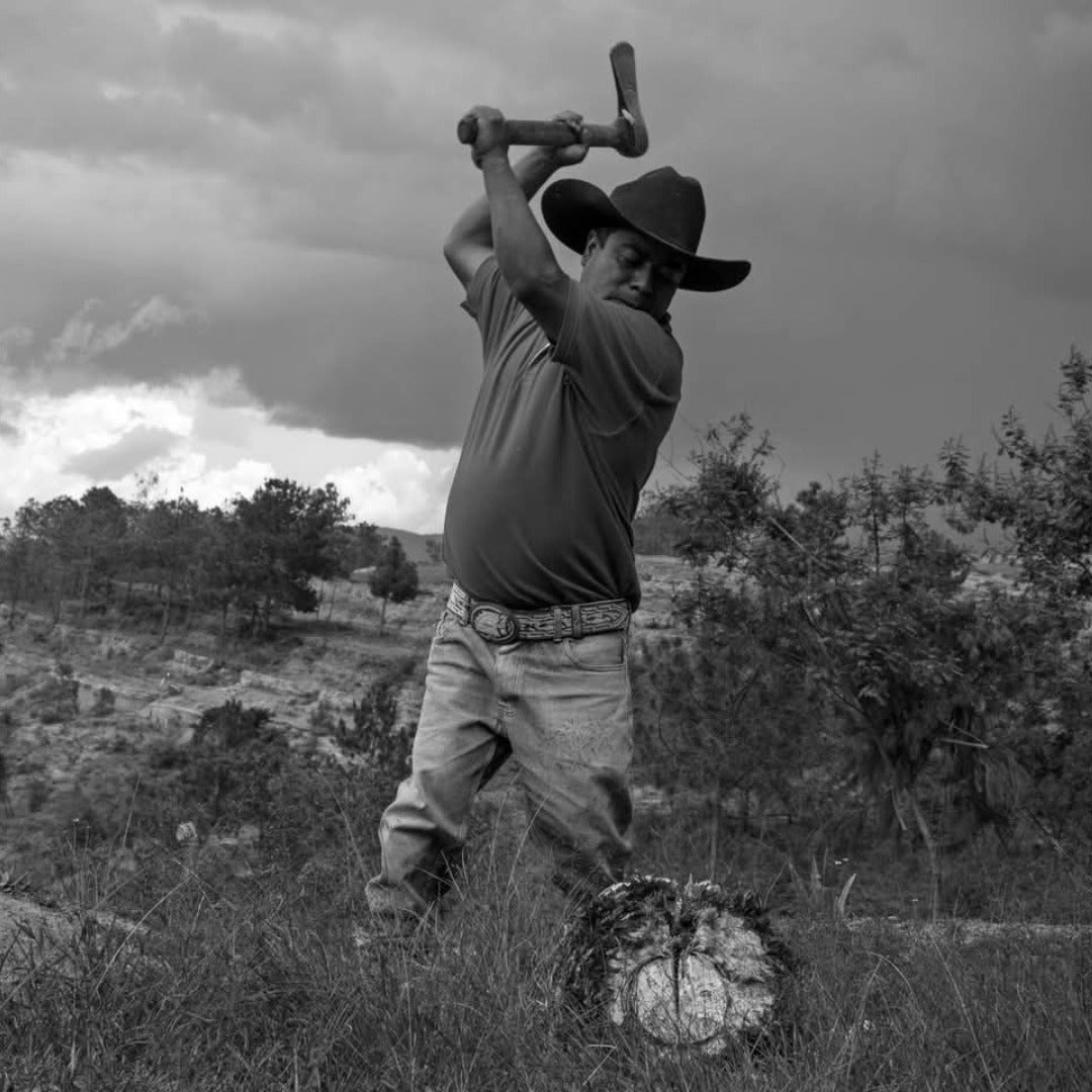 Tres Tribus Ensamble Mezcal - Latitude Wine & Liquor Merchant