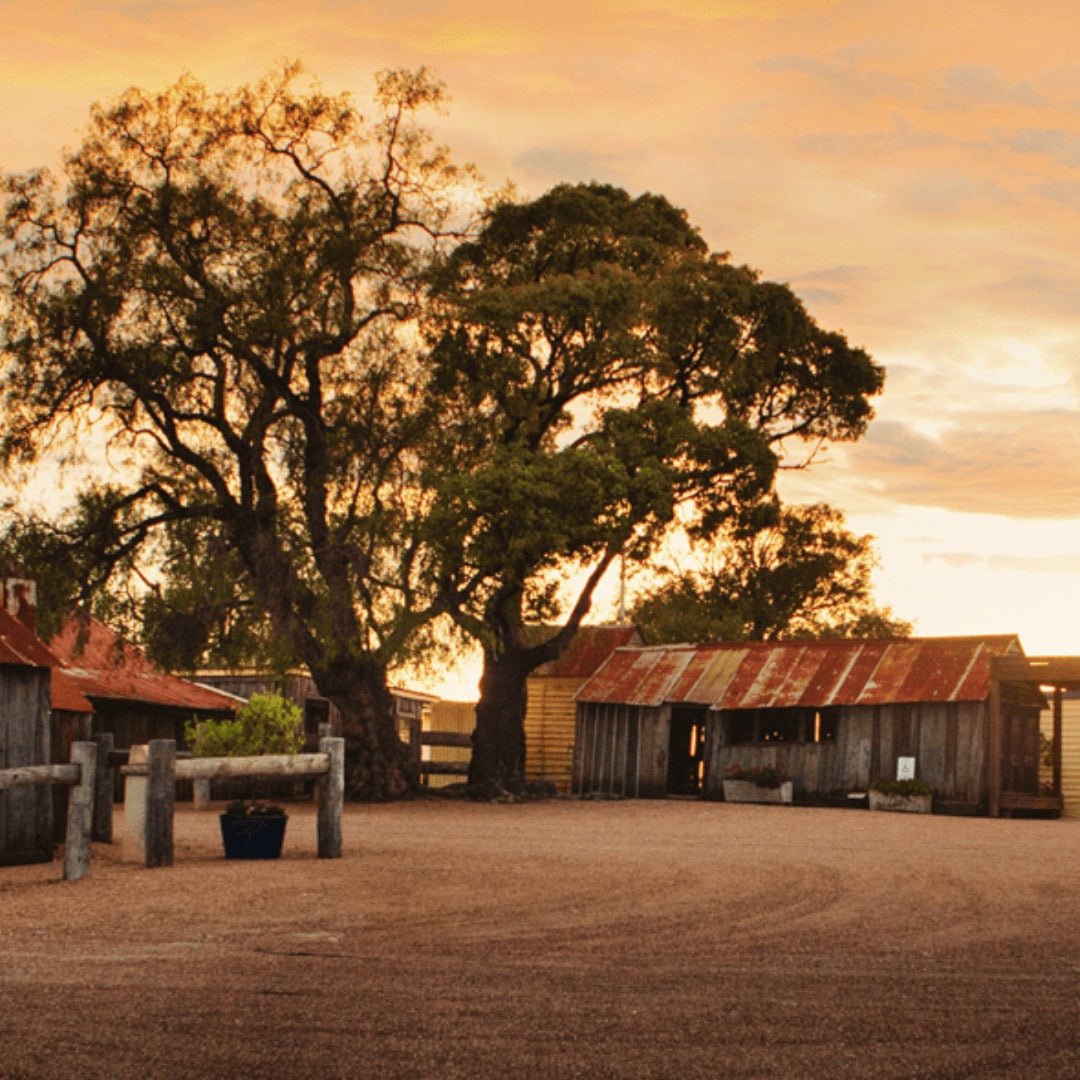 Tyrell's Hunter Valley Chardonnay - Latitude Wine & Liquor Merchant